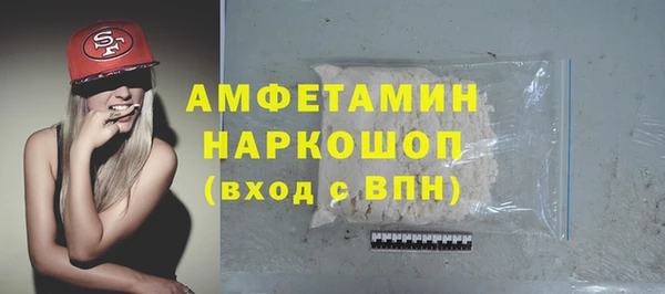 spice Богданович