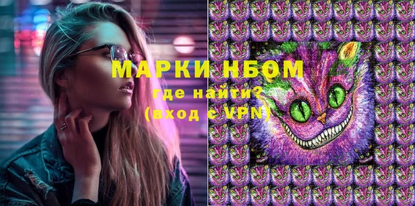 spice Богданович