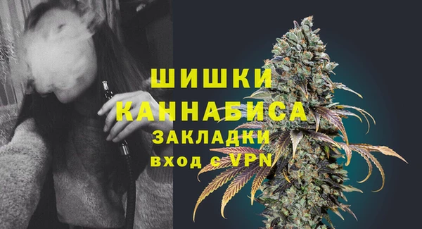spice Богданович