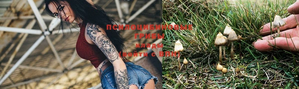 MDMA Богородицк