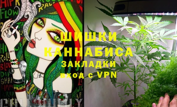 spice Богданович