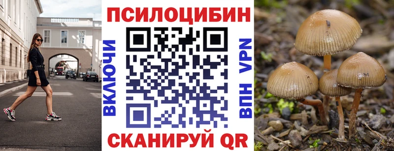 hydra ТОР  как найти закладки  Петропавловск-Камчатский  Псилоцибиновые грибы ЛСД 